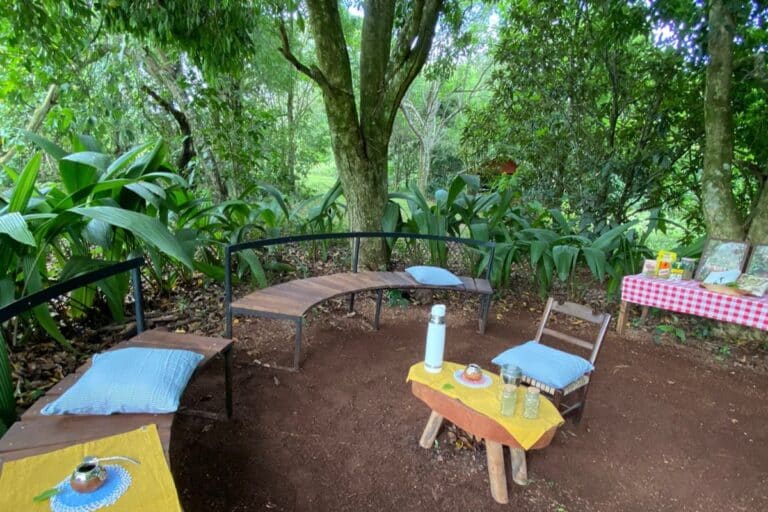 2e65d11f-efe4-4ddf-a463-21fe0def53ad