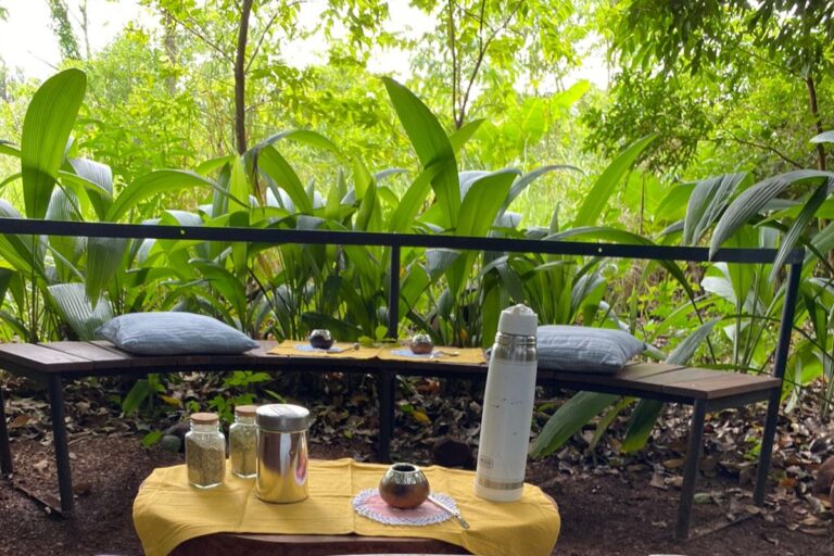 777080d9-954e-469c-bbc0-2110746e84c0