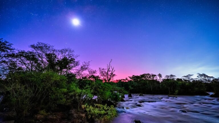 Galeria-Paseo-Luna-Llena_1