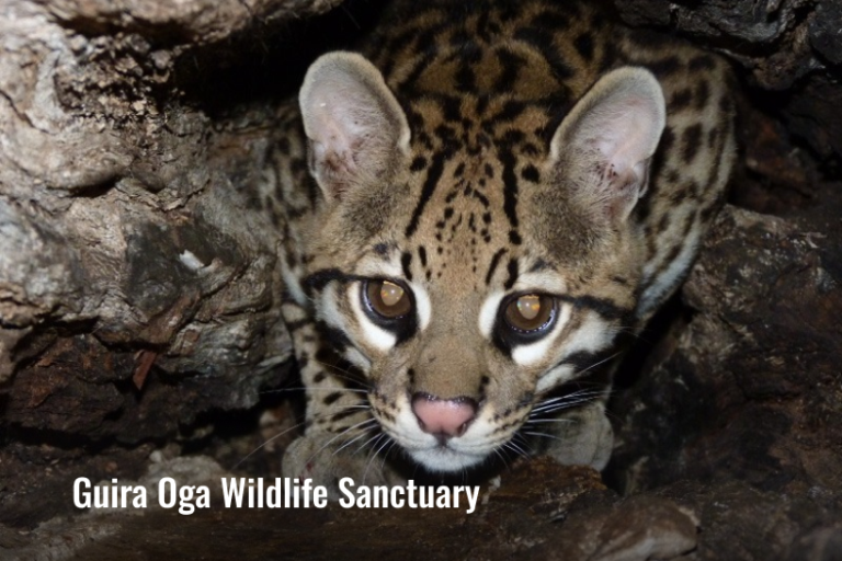 Guira Oga Wildlife Sanctuary