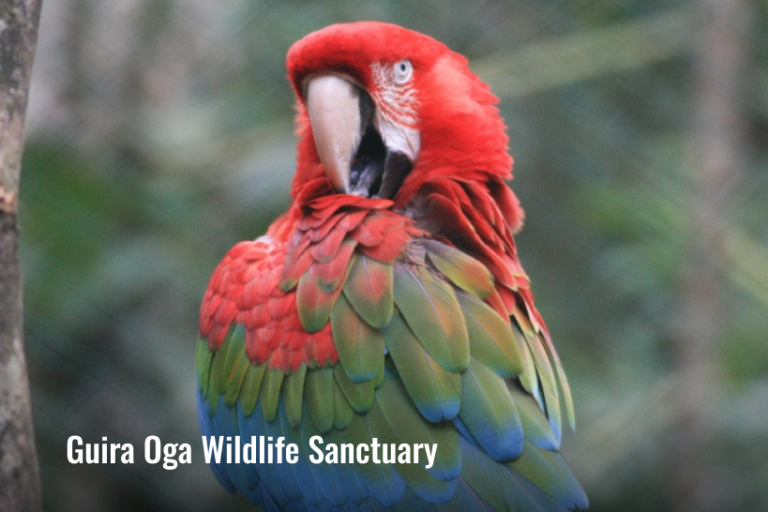 Guira Oga Wildlife Sanctuary