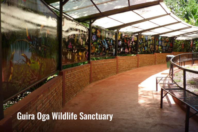 Guira Oga Wildlife Sanctuary