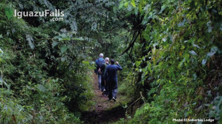 Iguazu Falls & Mocona Falls with El Soberbio Lodge
