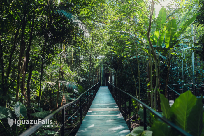 La Reserva Virgin Lodge