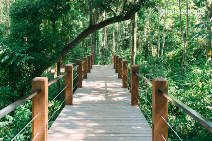 Selvaje Lodge Iguazú