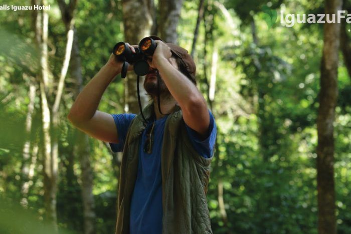 Hotel Falls Iguazu, Hotels in Puerto Iguazu, Argentina