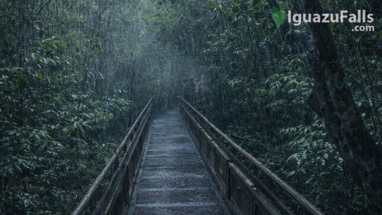 Rainy Iguazu Falls