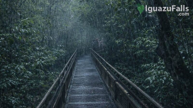 Rainy Iguazu Falls