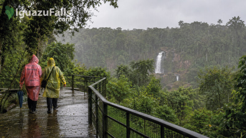 Rainy day in Iguazu Falls