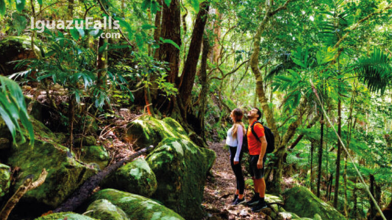 Iguazu Falls: Romantic Tour