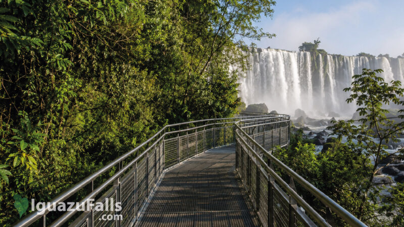 Iguazu Falls Trails