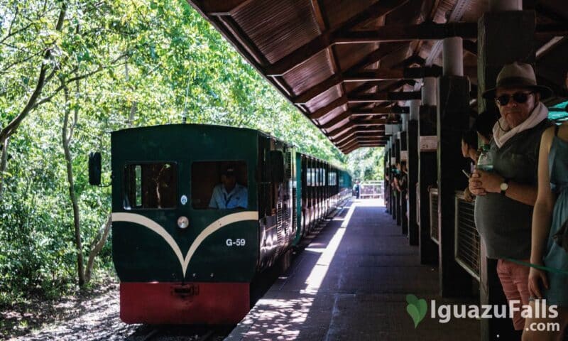 Iguazu Falls Ecological Train of the Jungle