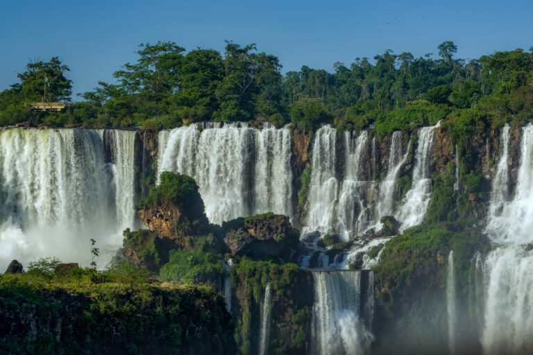 Wide view of Iguazu Falls cascading over forested cliffs surrounded by lush subtropical vegetation.