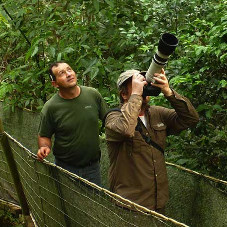 Iguazu Falls & Yacutinga Rainforest Lodge